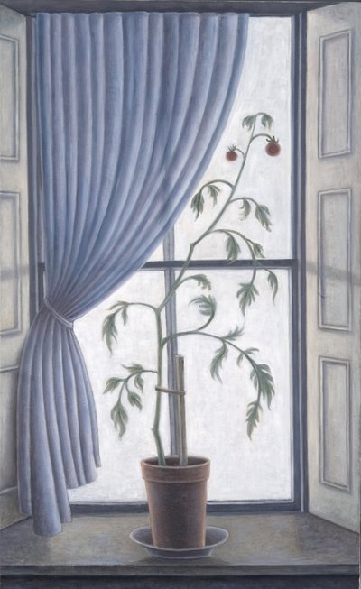 Pianta in finestra, 2003 da Ruth Addinall